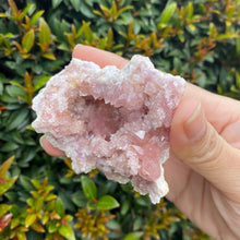 Load image into Gallery viewer, Pink Amethyst Geode to Align with your Highest Aspirations, Multiple Sizes!