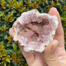 Load image into Gallery viewer, Pink Amethyst Geode to Align with your Highest Aspirations, Multiple Sizes!