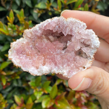 Load image into Gallery viewer, Pink Amethyst Geode to Align with your Highest Aspirations, Multiple Sizes!