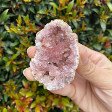 Load image into Gallery viewer, Pink Amethyst Geode to Align with your Highest Aspirations, Multiple Sizes!