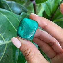 Load image into Gallery viewer, Tumbled Malachite Crystals for Transformation