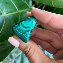 Load image into Gallery viewer, Tumbled Malachite Crystals for Transformation