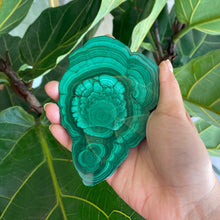 Load image into Gallery viewer, Polished Malachite Crystal Slabs, for Transformation