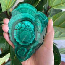 Load image into Gallery viewer, Polished Malachite Crystal Slabs, for Transformation