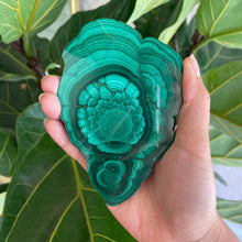 Load image into Gallery viewer, Polished Malachite Crystal Slabs, for Transformation