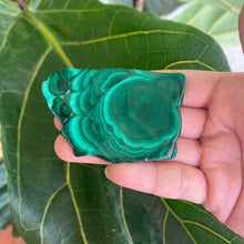 Load image into Gallery viewer, Polished Malachite Crystal Slabs, for Transformation