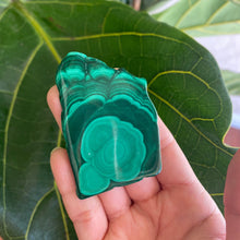 Load image into Gallery viewer, Polished Malachite Crystal Slabs, for Transformation