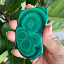 Load image into Gallery viewer, Polished Malachite Crystal Slabs, for Transformation