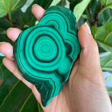 Load image into Gallery viewer, Polished Malachite Crystal Slabs, for Transformation