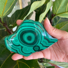 Load image into Gallery viewer, Polished Malachite Crystal Slabs, for Transformation
