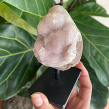 Load image into Gallery viewer, Pink Amethyst Oval on Black Stand
