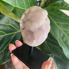 Load image into Gallery viewer, Pink Amethyst Oval on Black Stand