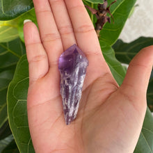 Load image into Gallery viewer, Natural Purple Amethyst Dragons Tooth Points