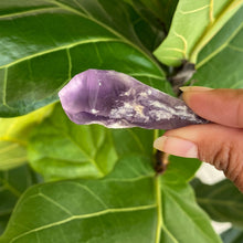 Load image into Gallery viewer, Natural Purple Amethyst Dragons Tooth Points