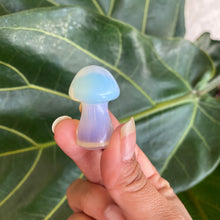 Load image into Gallery viewer, Mushroom Crystal Carving