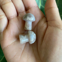 Load image into Gallery viewer, Mini Mushroom Crystal Carving