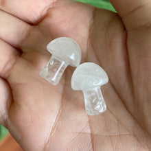 Load image into Gallery viewer, Mini Mushroom Crystal Carving