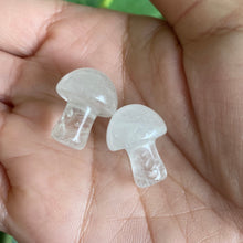 Load image into Gallery viewer, Mini Mushroom Crystal Carving