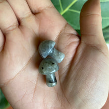 Load image into Gallery viewer, Mini Mushroom Crystal Carving