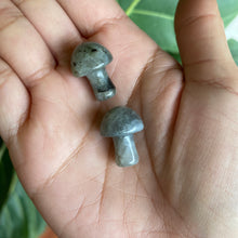 Load image into Gallery viewer, Mini Mushroom Crystal Carving