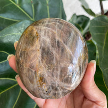 Load image into Gallery viewer, Polished Peach Black Moonstone Crystal Freeform from Madagascar