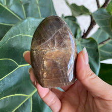 Load image into Gallery viewer, Polished Peach Black Moonstone Crystal Freeform from Madagascar