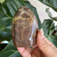 Load image into Gallery viewer, Polished Peach Black Moonstone Crystal Freeform from Madagascar