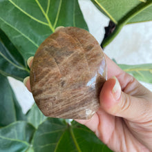 Load image into Gallery viewer, Polished Peach Black Moonstone Crystal Freeform from Madagascar