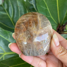 Load image into Gallery viewer, Polished Peach Black Moonstone Crystal Freeform from Madagascar