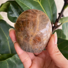 Load image into Gallery viewer, Polished Peach Black Moonstone Crystal Freeform from Madagascar