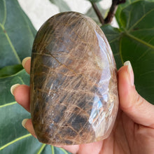 Load image into Gallery viewer, Polished Peach Black Moonstone Crystal Freeform from Madagascar
