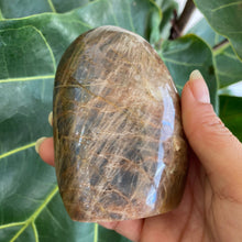 Load image into Gallery viewer, Polished Peach Black Moonstone Crystal Freeform from Madagascar