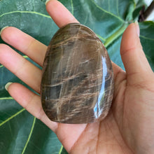 Load image into Gallery viewer, Polished Peach Black Moonstone Crystal Freeform from Madagascar