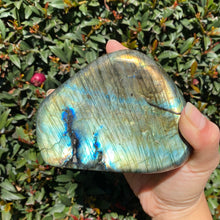 Load image into Gallery viewer, Polished Blue and Yellow Labradorite Freeform, for Faith in One's Self & the Universe