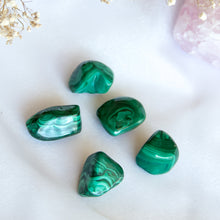 Load image into Gallery viewer, Tumbled Malachite Crystals for Transformation