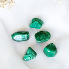 Load image into Gallery viewer, Tumbled Malachite Crystals for Transformation