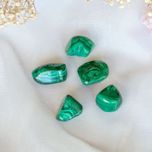 Load image into Gallery viewer, Tumbled Malachite Crystals for Transformation