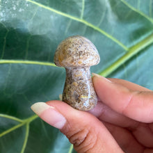 Load image into Gallery viewer, Mushroom Crystal Carving