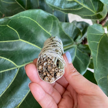 Load image into Gallery viewer, Dried Lavender & White Sage Smudge Stick, Sustainably Sourced