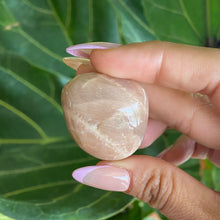 Load image into Gallery viewer, Peach Moonstone Tumbled Stone