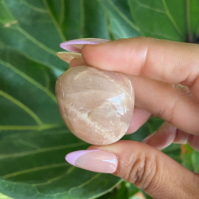 Peach Moonstone Tumbled Stone