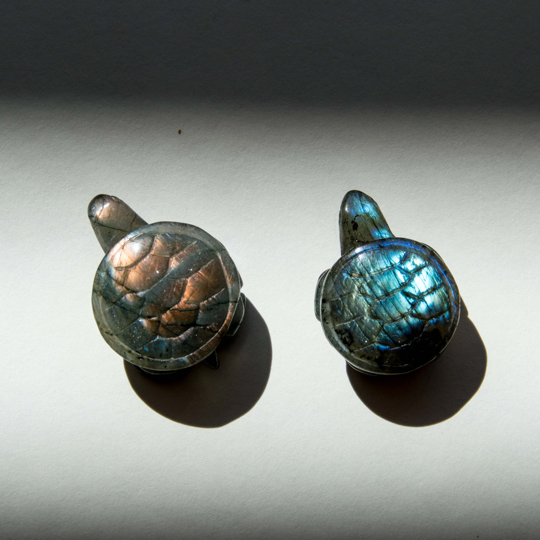 Natural Labradorite Turtle Carving