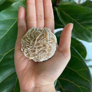 Large Desert Rose Selenite for Purification