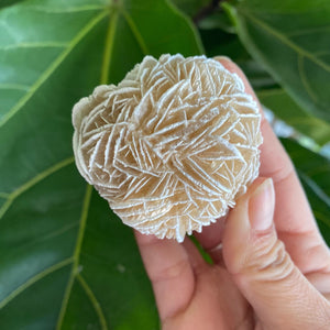 Large Desert Rose Selenite for Purification