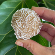 Load image into Gallery viewer, Large Desert Rose Selenite for Purification