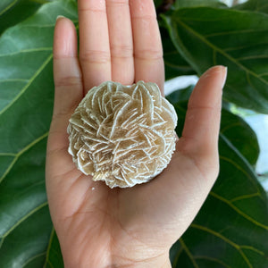 Large Desert Rose Selenite for Purification