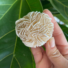 Load image into Gallery viewer, Large Desert Rose Selenite for Purification