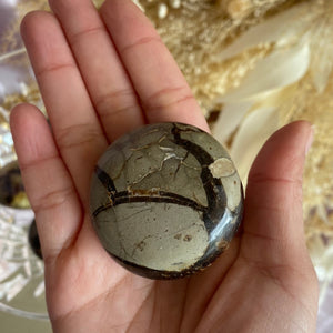 Septarian Palm Stone Crystal, for Grounding & Connecting to Mother Earth