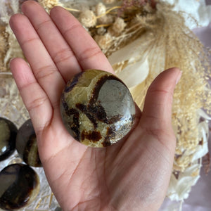 Septarian Palm Stone Crystal, for Grounding & Connecting to Mother Earth