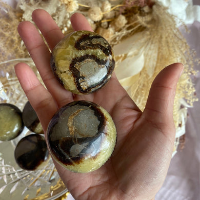 Septarian Palm Stone Crystal, for Grounding & Connecting to Mother Earth